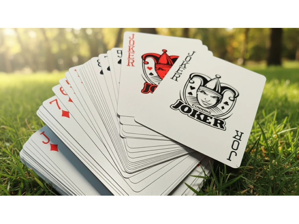 Disobedience Playing Cards by WohStudios