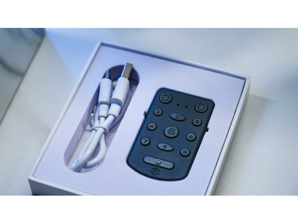 PITATA Palm Remote
