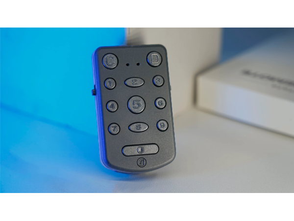 PITATA Palm Remote