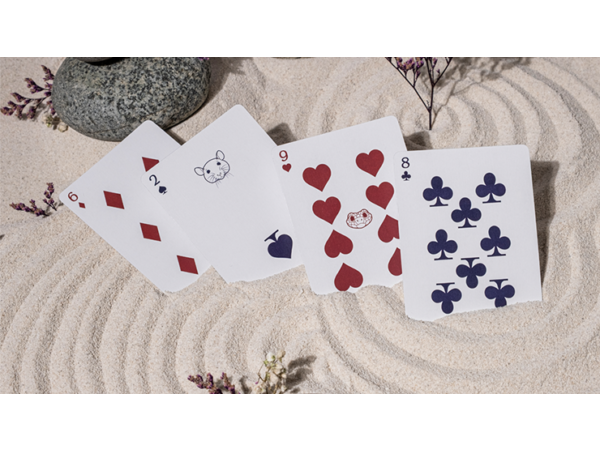 Bicycle Cycle of Venus Playing Cards