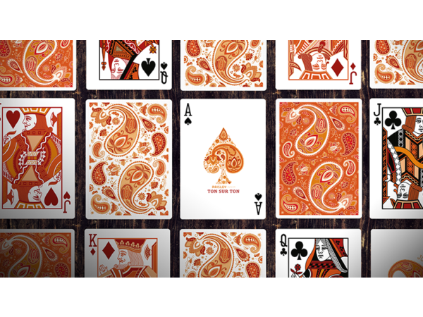 Paisley Ton sur Ton Poudre Orange Foil Designer's Choice