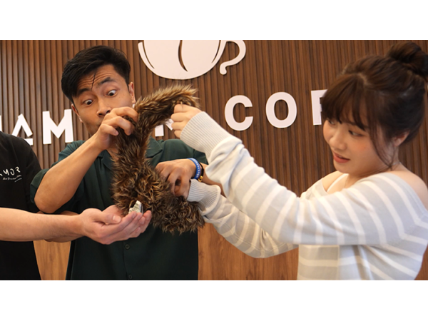 Tricky Raccoon by Liang Kuai & Amor Magic