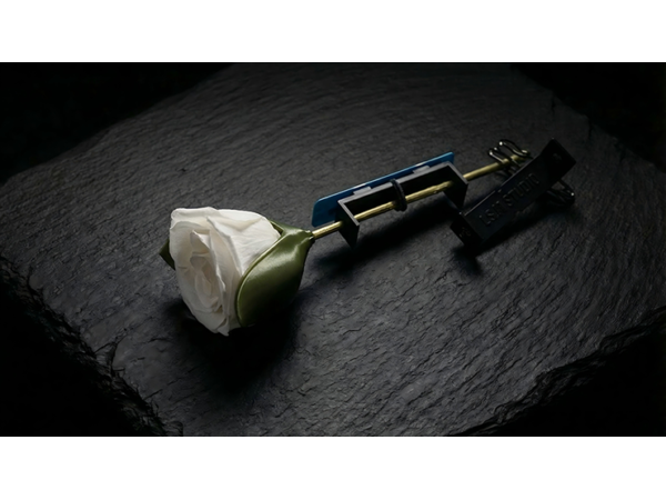 Project H: Rose Holder by J.S.M. Studio & Bacon Magic