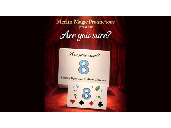 Are You Sure? by Damien Vappereau and Marc Céliandre