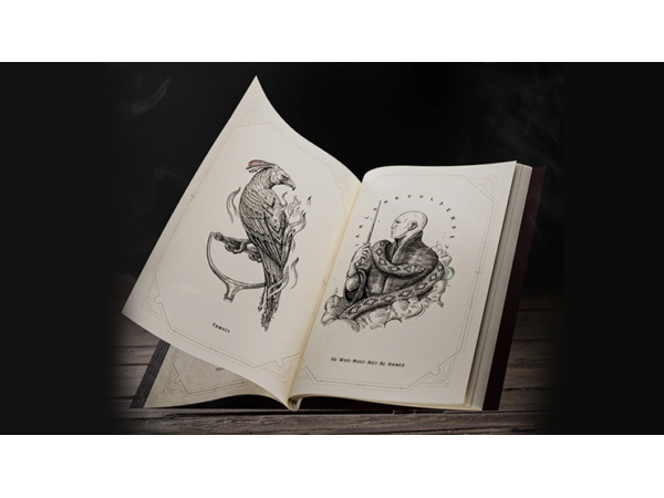 Harry Potter Self-Coloring Book by theory11 - Book