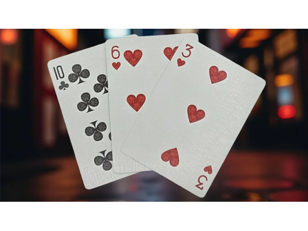 Biker Dogs Playing Cards by Collectable Playing Cards