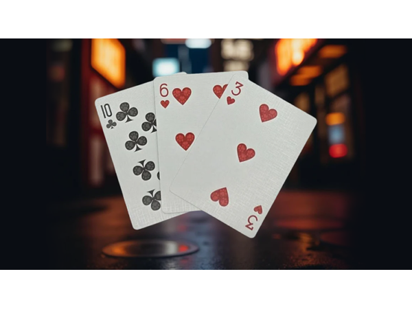 Biker Cats Playing Cards by Collectable Playing Cards