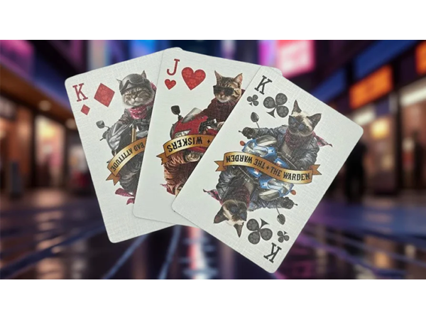 Biker Cats Playing Cards by Collectable Playing Cards