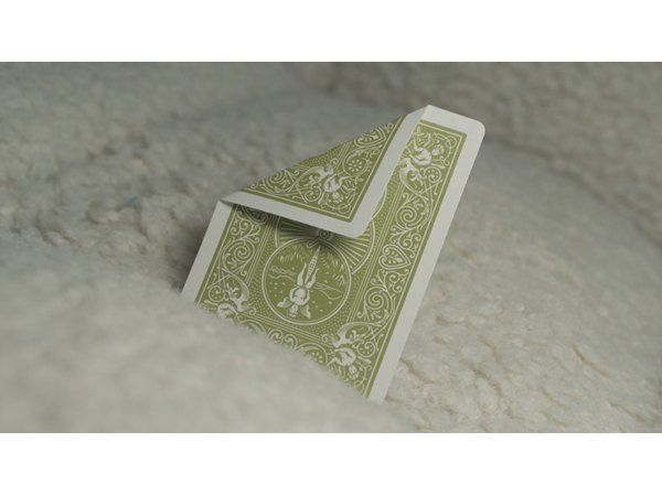Bicycle Gino the Croco Playing Cards