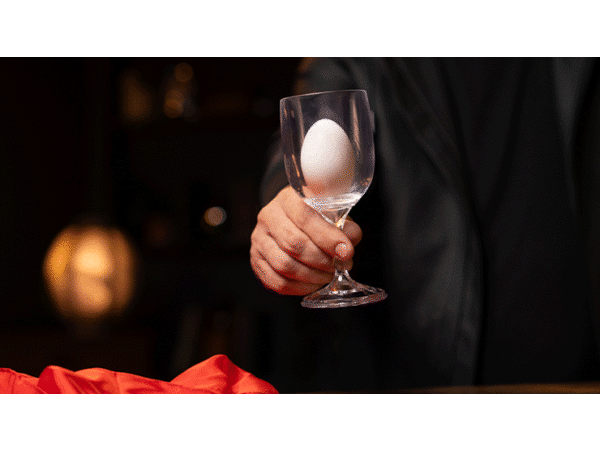 Portable Wine Glass Set by Murphy's Magic