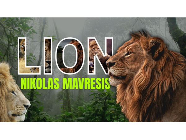 Lion by Nikolas Mavresis video DOWNLOAD