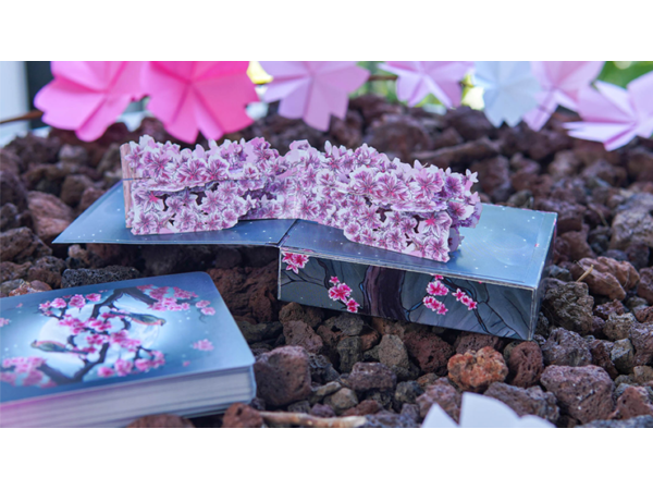Sakura Renaissance 3D Pop-up Moonlight Edition Playing Cards