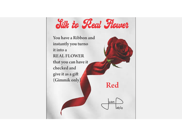 Silk to Real Flower (Red) by Juan Pablo
