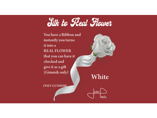 Silk to Real Flower (White) by Juan Pablo