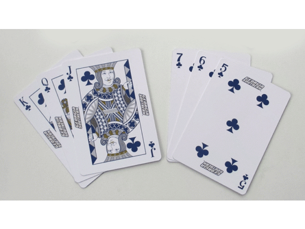 Georgia Southern Playing Cards