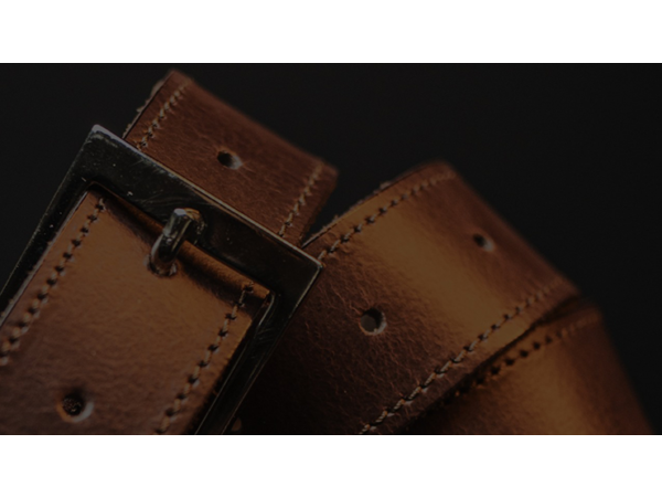 Invisibelt by Marcus Alexander (Brown Lg)