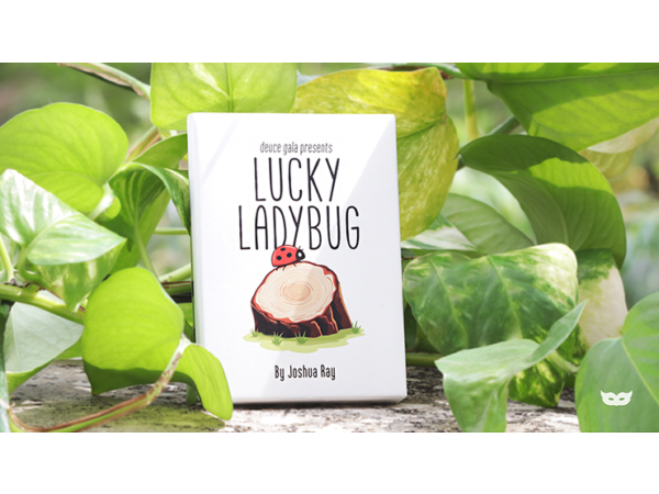 Lucky Ladybug (Leaf) by Joshua Ray & Deuce Gala Magic