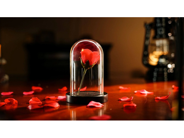 The Quantum Dome by Mai Bro & TCC Magic