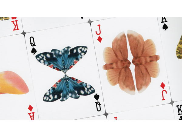 MOTHS (Stripe Edition) by Matthew Palladino