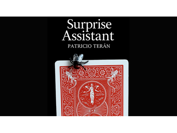 Surprise Assistant by Patricio Teran video DOWNLOAD