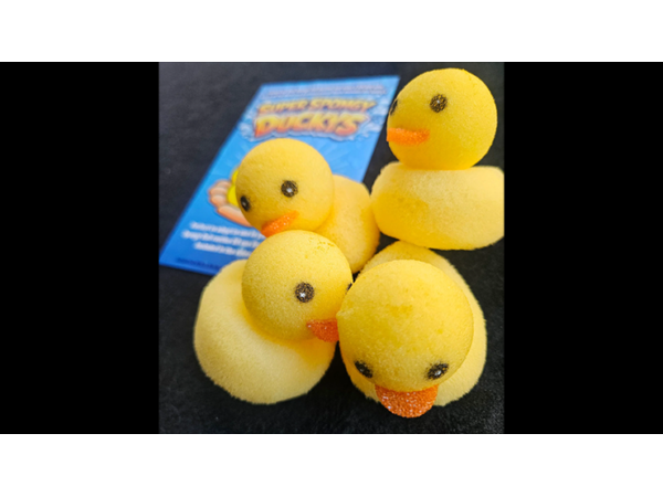 Super Spongy Duckies (4)