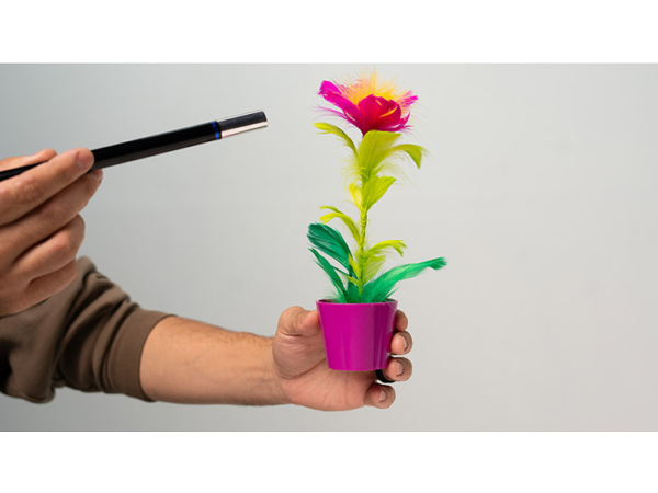 Miracle Wand to Flower by Murphy's Magic