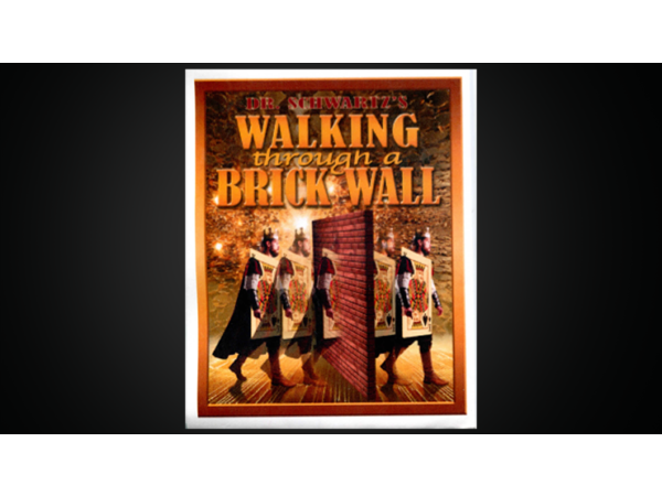 Walking Thru a Brick Wall by Martin Schwartz