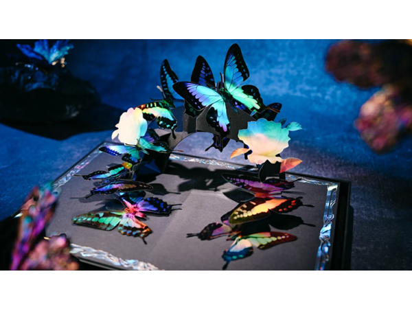 Morpho V2 Playing Cards Collection Boxset by TCC Fashion