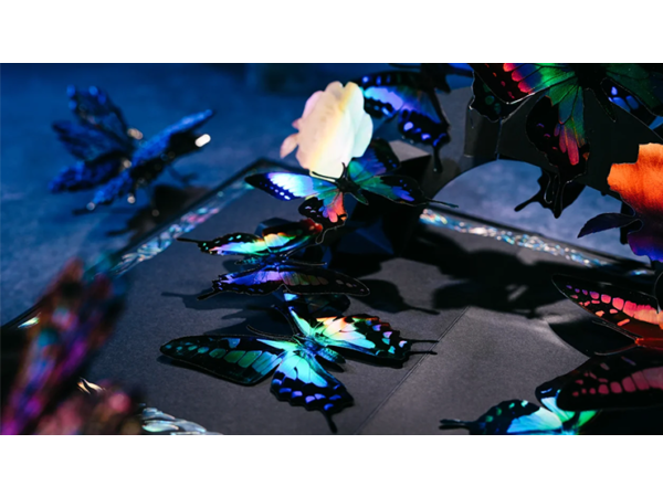 Morpho V2 Playing Cards Collection Boxset by TCC Fashion