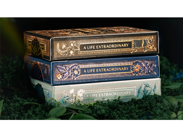 Mooi Collector's Edition BOXSET by theory11