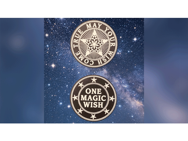 Giveaway Magic Wishing Coins (20 Plastic Coins) by Alan Wong