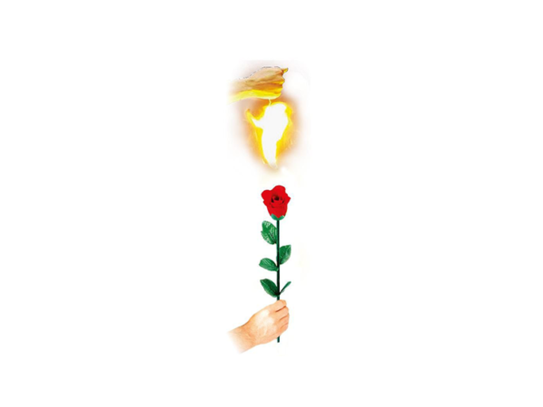 Instant Rose by Vincenzo DiFatta