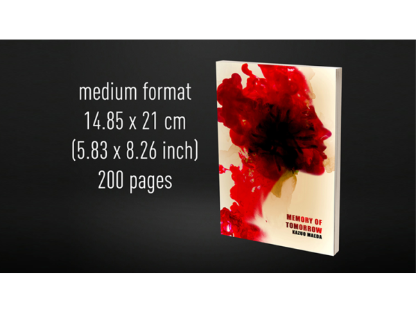 Babel Book Test 4 by Vincent Hedan (Memory of tomorrow), medium, 600 pages