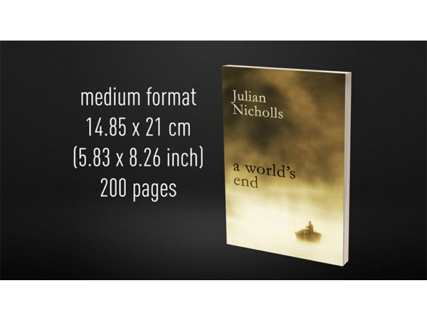 Babel Book Test 6 by Vincent Hedan (A World's End), medium, 200 pages