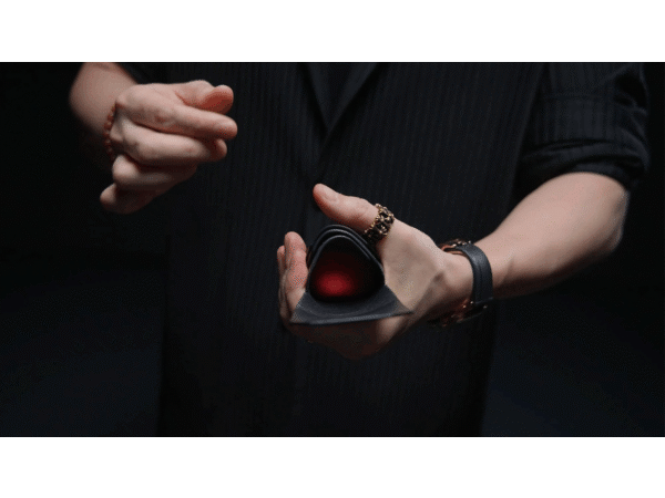 Sparrow Wallet by Steven Ng, Chris James & TCC Magic