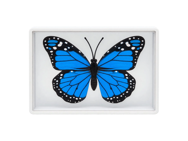 Omni Butterfly by Hyde Ren & Bacon Magic