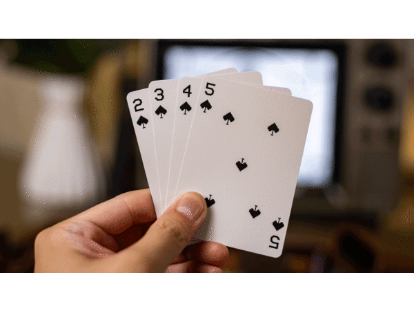 Fourth Wall (Noir Edition) Playing Cards