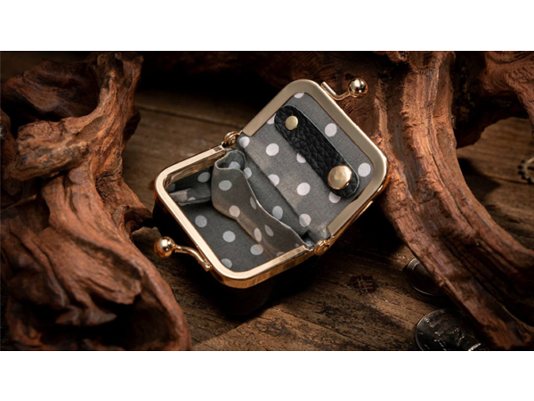 Coin Bag by TCC Magic