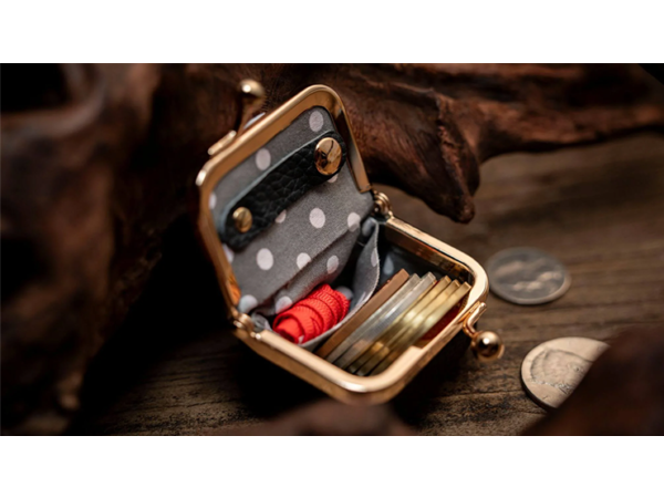 Coin Bag by TCC Magic