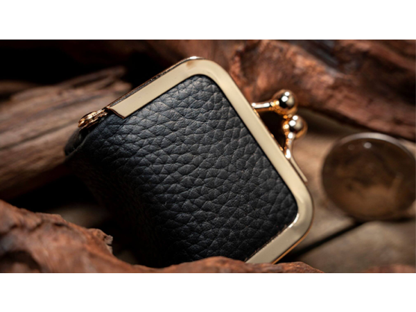 Coin Bag by TCC Magic