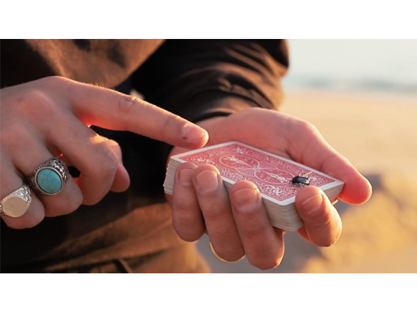 The FLY LITE by Marcos Waldemar & Invisible Compass