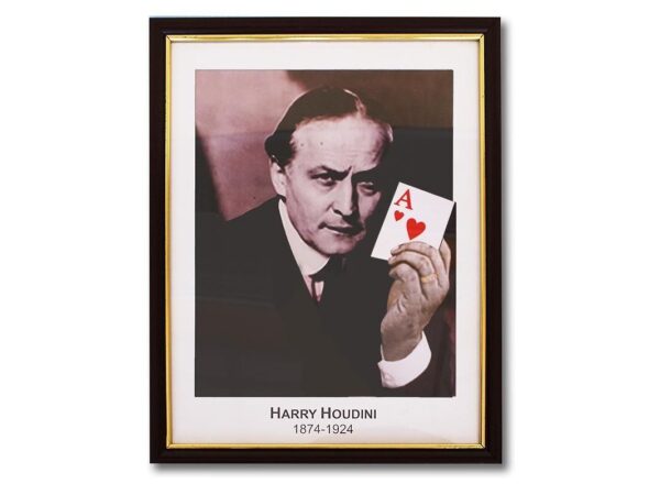 Houdini Prediction Frame