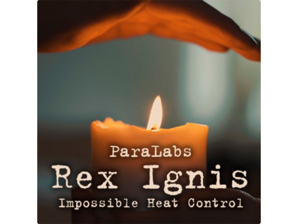Rex Ignis 3.0 - Ersatzbatterie