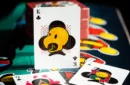 LANCE MOUNTAIN DOUGHBOY SKATEBOARD PLAYING CARDS by FULTONS – Bild 4