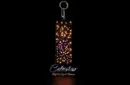 Celestar by Dr. Cyril Thomas – Bild 1