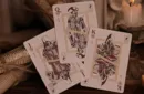 Assassin's Creed Legacy (Hidden Blade Black) Playing Cards – Bild 4