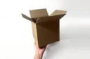 Examinable Box by Blake Vogt – Image 2
