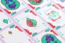 Bicycle Chilly Weather Blind Pack (Single Pack) Playing Cards – Bild 4