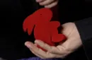 Magic Sponge Bunny Rabbit Set JUMBO RED by Murphy's Magic – Image 3