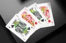 ARW V4 Playing Cards – Bild 3